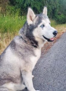 Axle