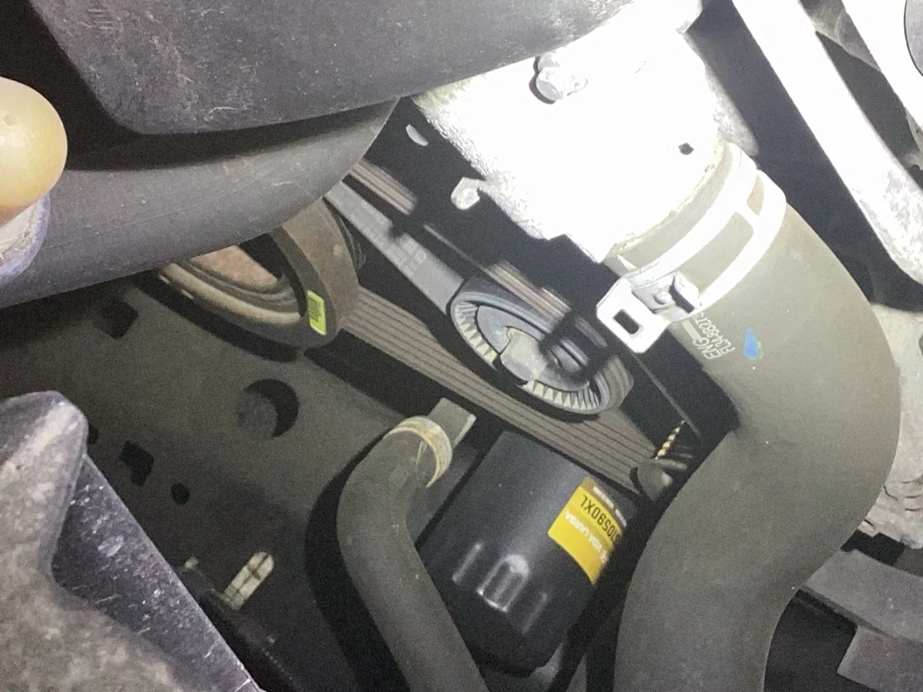 Drive Belt